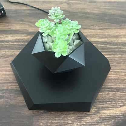 LevitaFlora